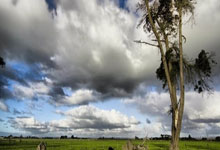 [天下足球]豪门恩怨：皇家马德里VS马德里竞技.